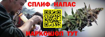 трава Пугачёв