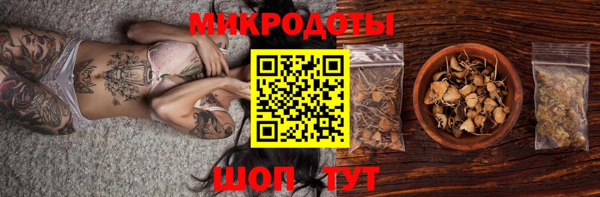Строитель  Галлюциногенные грибы прущие грибы  Вход с VPN 