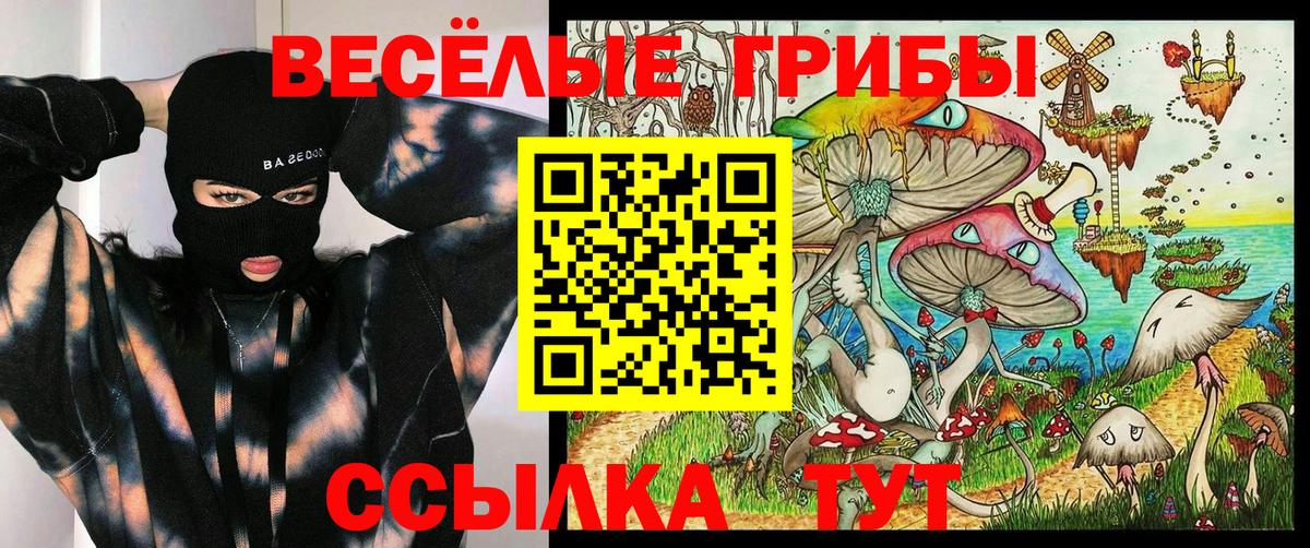Псилоцибиновые грибы MAGIC MUSHROOMS Строитель