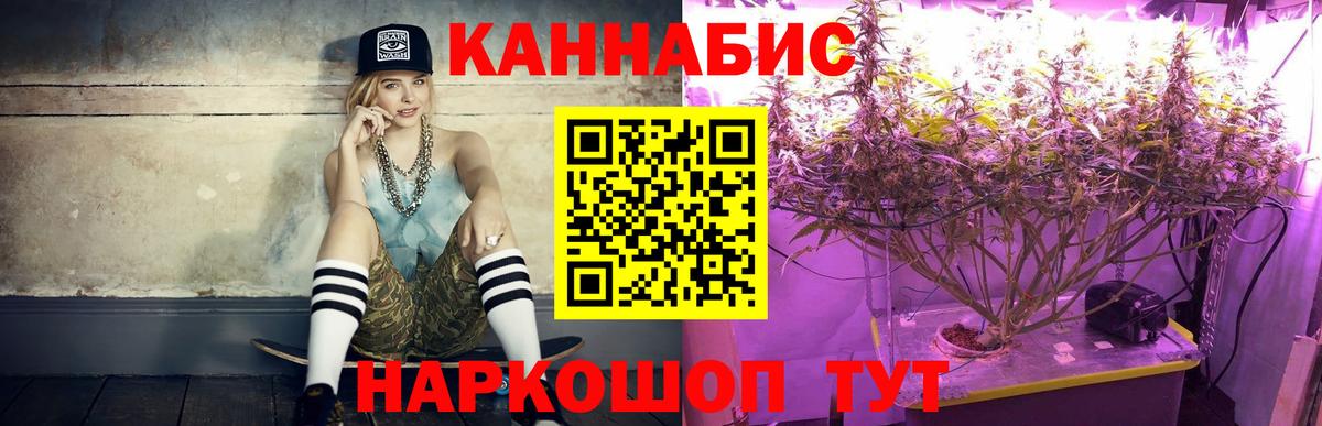 Марихуана план  Бошки Шишки гибрид  Бошки Шишки гибрид  Строитель  Вход с VPN 