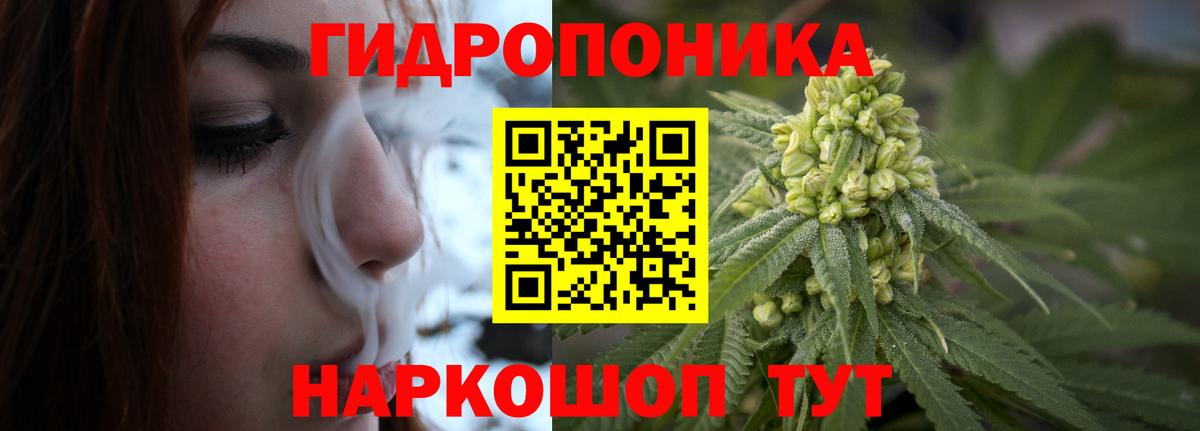 Шишки марихуана конопля Строитель